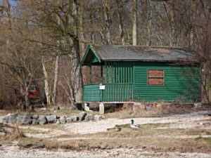 green home
