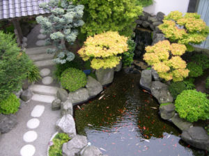 garden with pond