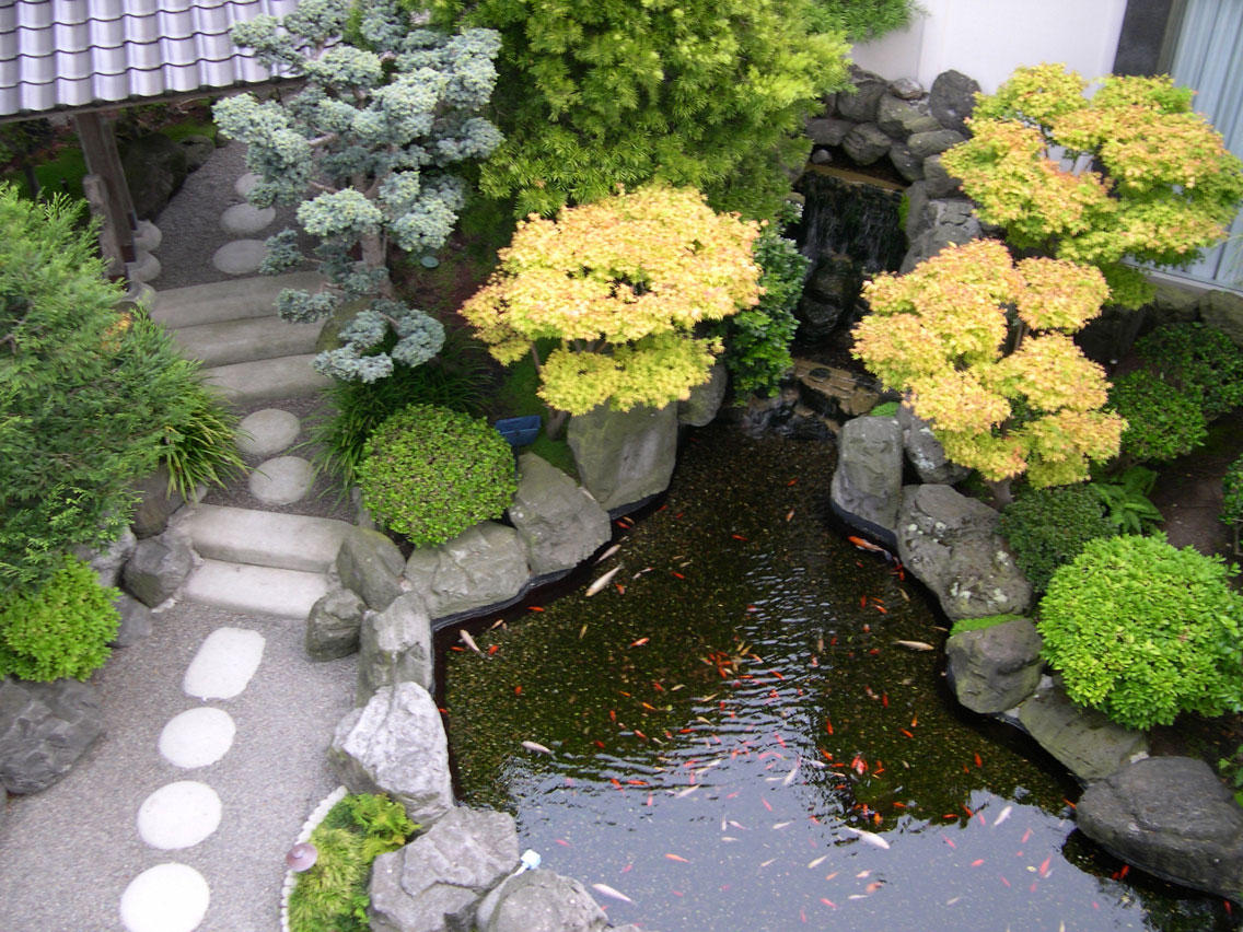 garden with pond